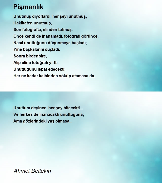 Ahmet Beltekin