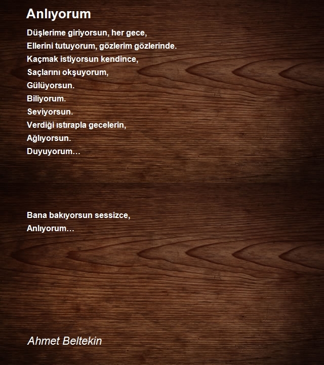 Ahmet Beltekin