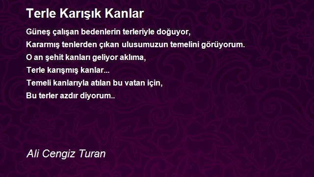 Ali Cengiz Turan