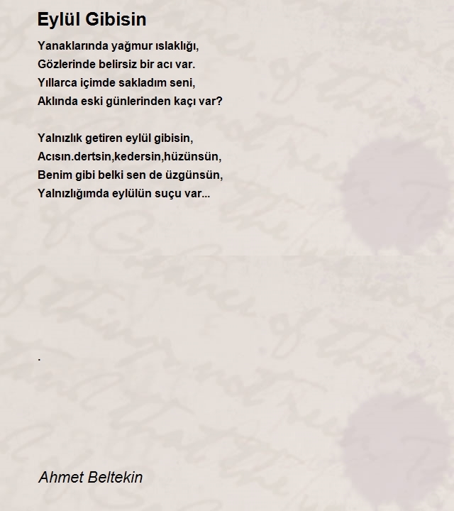 Ahmet Beltekin