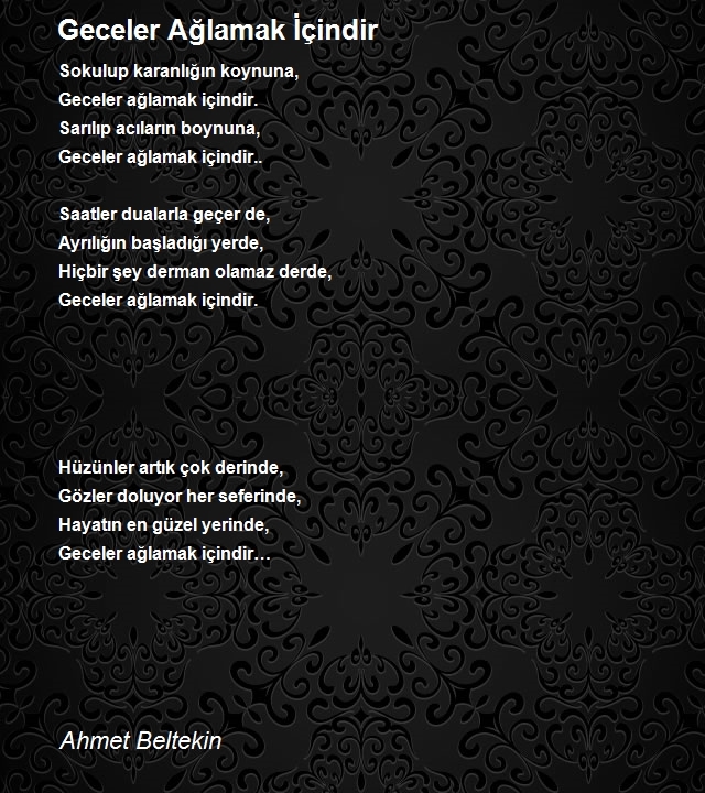 Ahmet Beltekin