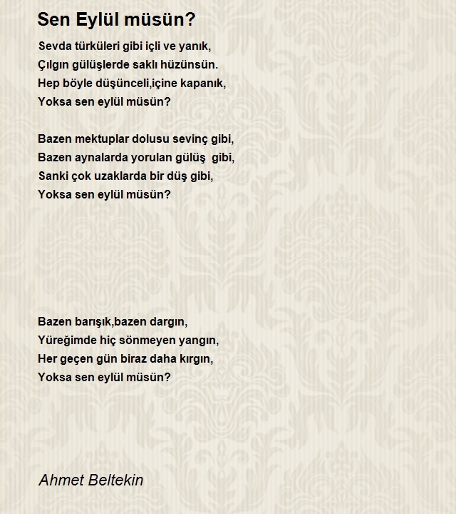 Ahmet Beltekin