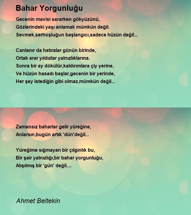 Ahmet Beltekin