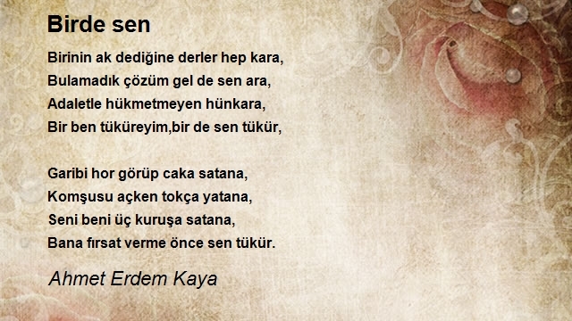 Ahmet Erdem Kaya