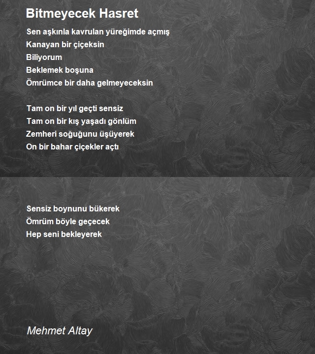 Mehmet Altay