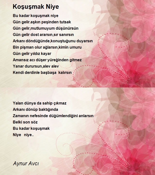 Aynur Avcı