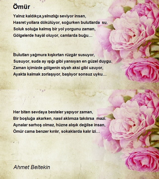 Ahmet Beltekin