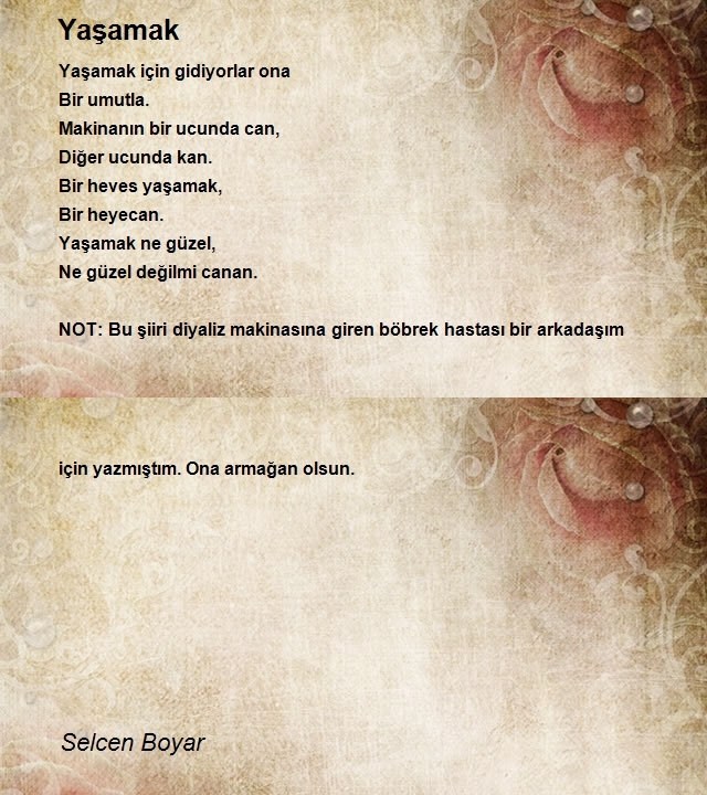 Selcen Boyar