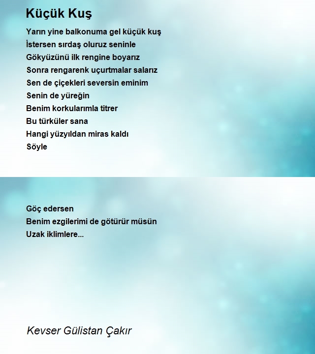 Kevser Gülistan Çakır