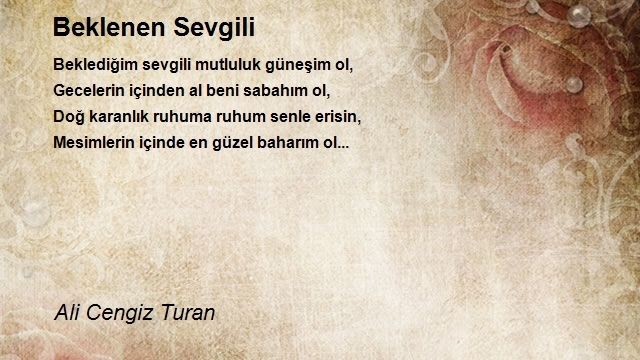 Ali Cengiz Turan