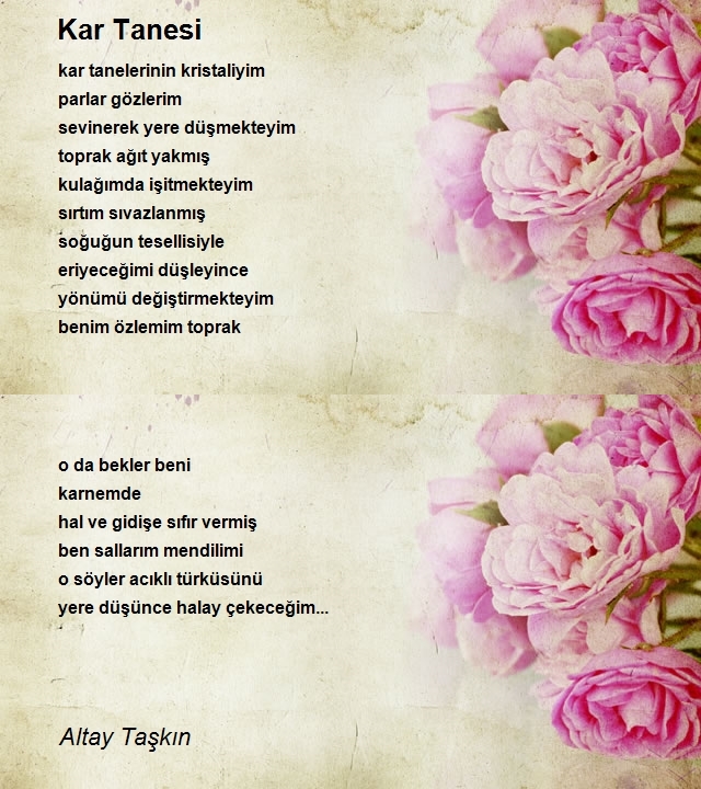 Altay Taşkın