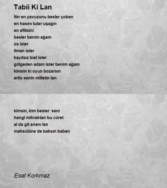 Esat Korkmaz