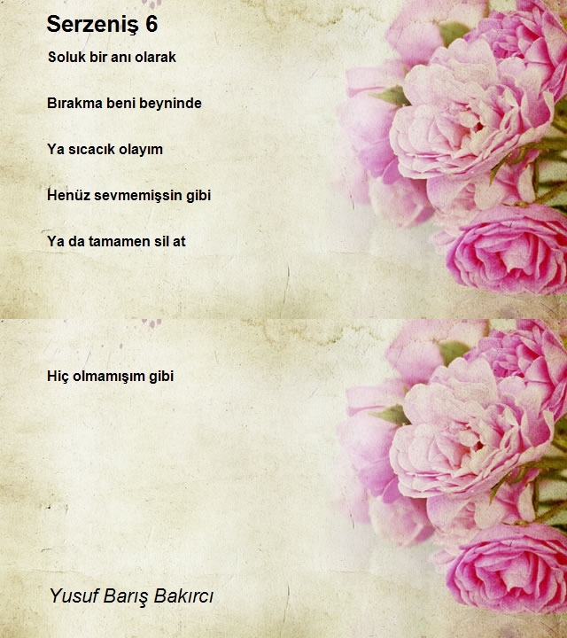 Yusuf Barış Bakırcı