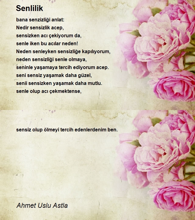 Ahmet Uslu Astla