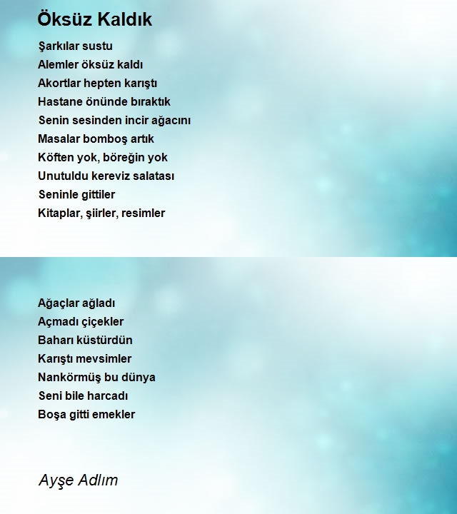 Ayşe Adlım