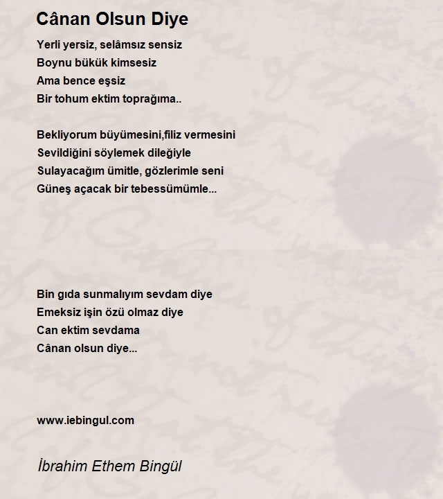 İbrahim Ethem Bingül