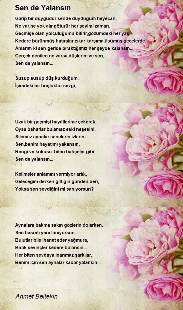 Ahmet Beltekin