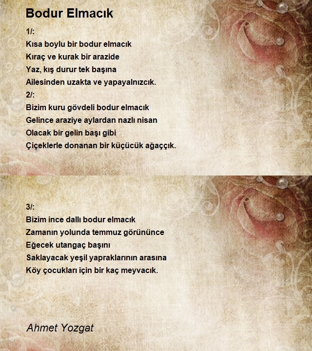 Ahmet Yozgat