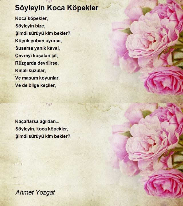 Ahmet Yozgat