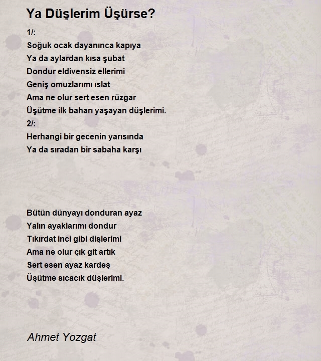 Ahmet Yozgat