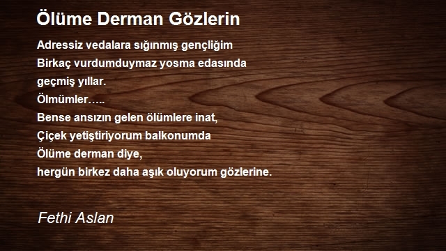 Fethi Aslan