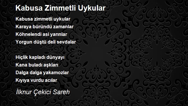 İlknur Çekici