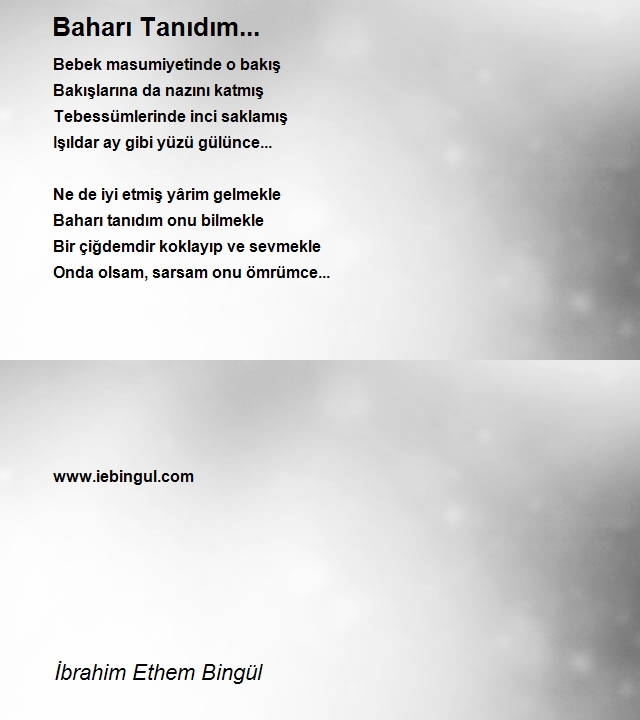 İbrahim Ethem Bingül