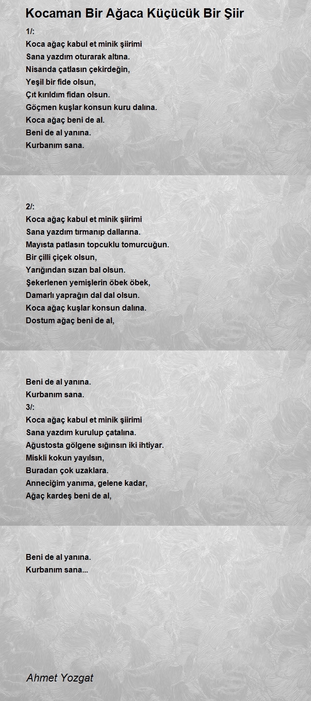 Ahmet Yozgat