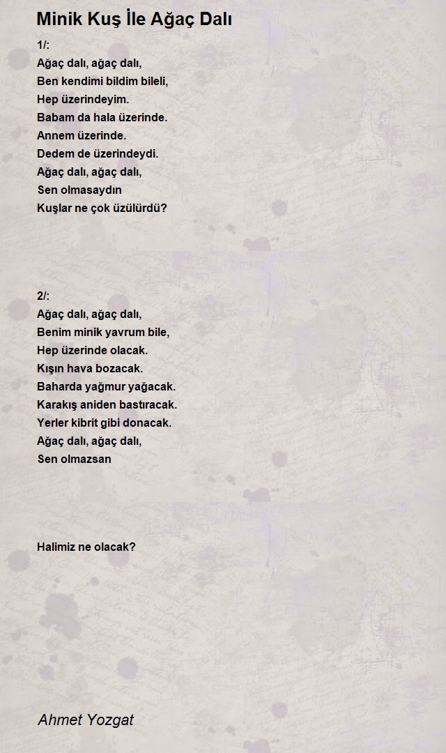 Ahmet Yozgat