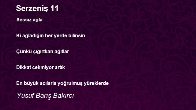 Yusuf Barış Bakırcı