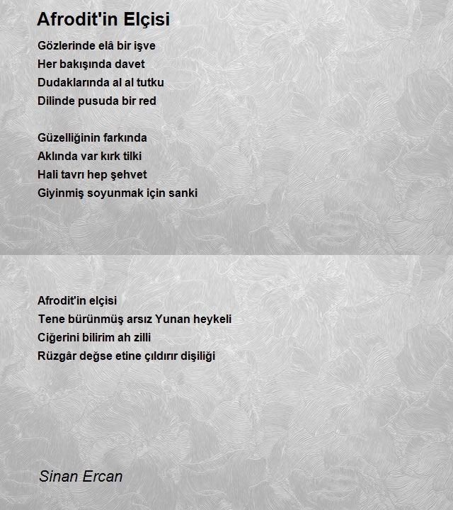 Sinan Ercan