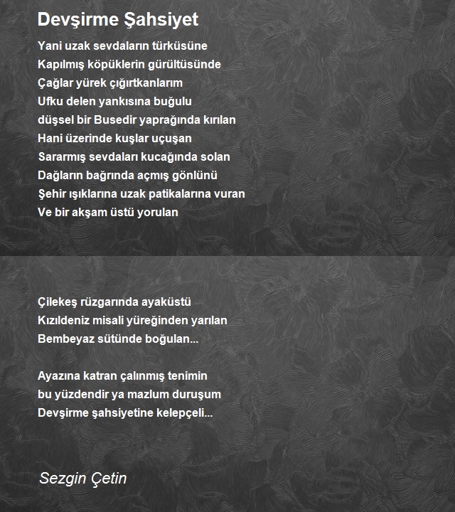 Sezgin Çetin