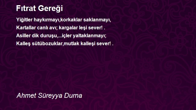 Ahmet Süreyya Durna