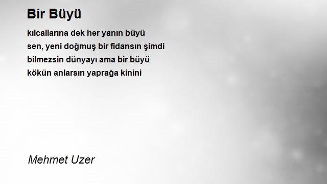 Mehmet Uzer