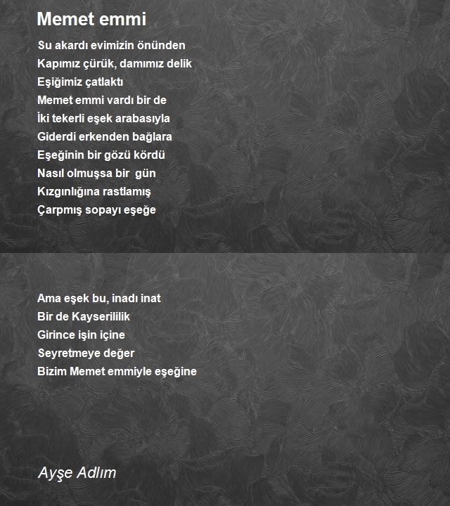 Ayşe Adlım