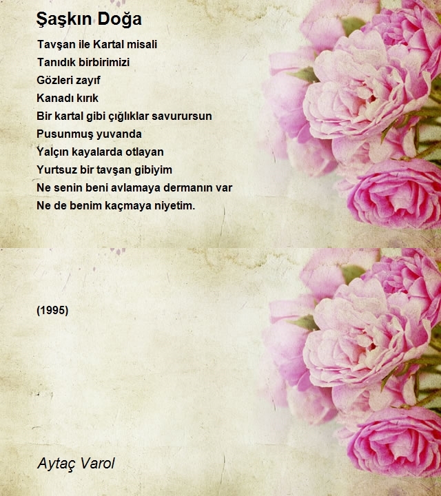 Aytaç Varol