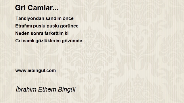 İbrahim Ethem Bingül