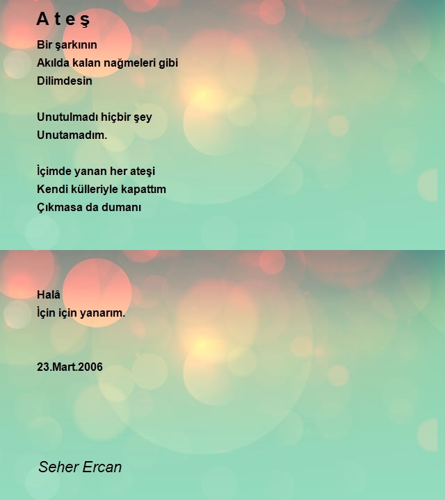 Seher Ercan