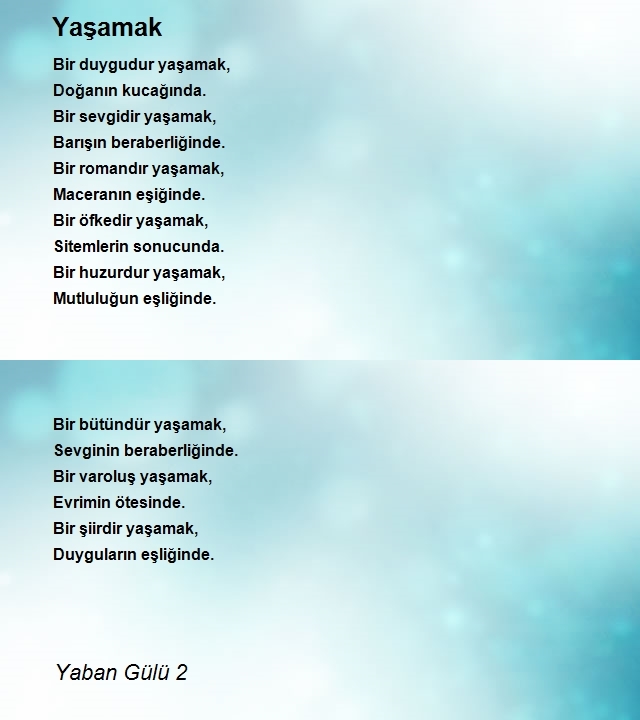 Yaban Gülü 2