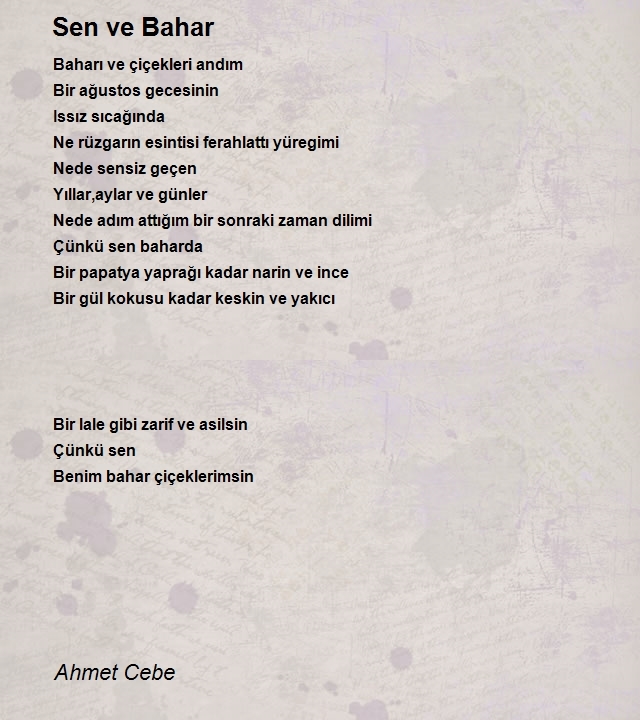 Ahmet Cebe