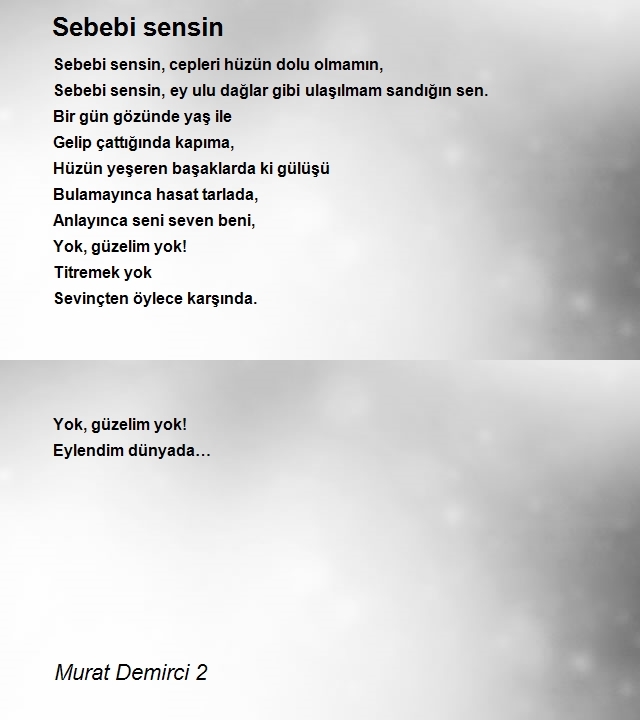 Murat Demirci 2