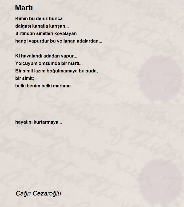 Çağrı Cezaroğlu