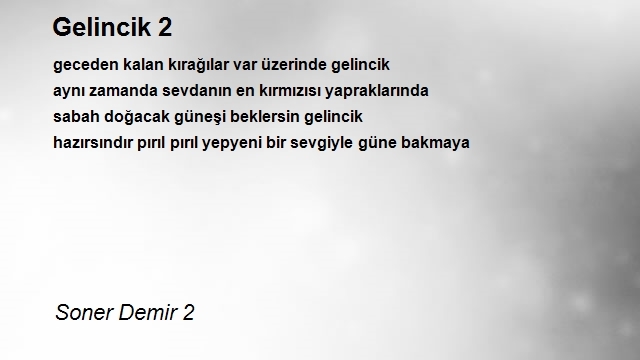 Soner Demir 2