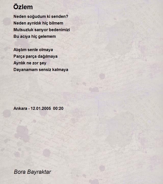 Bora Bayraktar