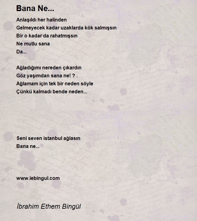 İbrahim Ethem Bingül