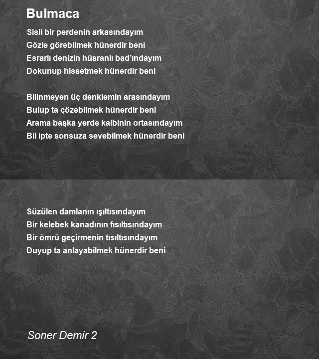 Soner Demir 2