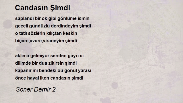 Soner Demir 2