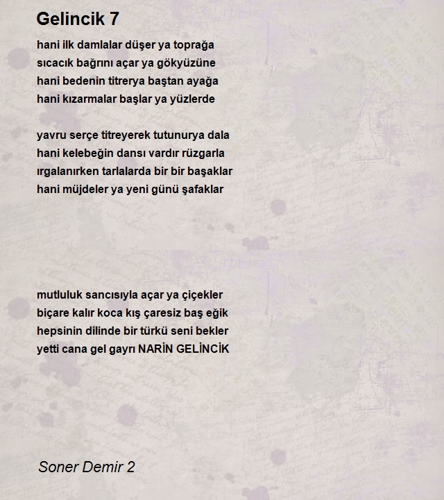 Soner Demir 2