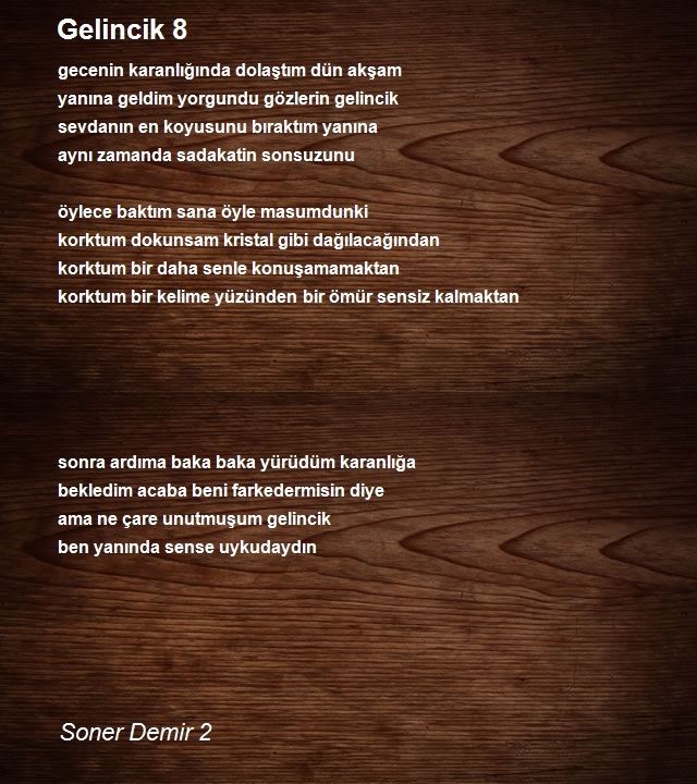 Soner Demir 2