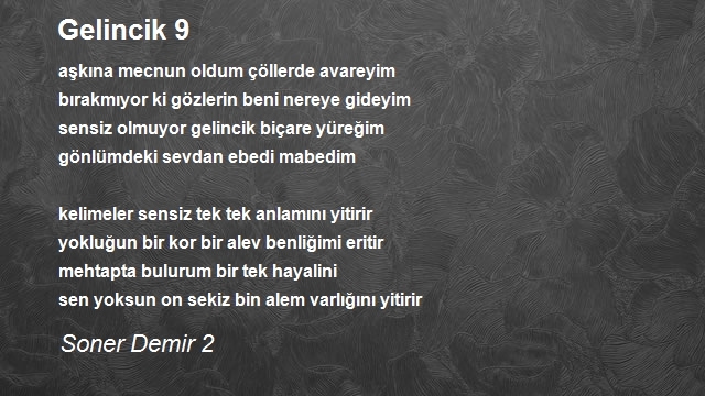 Soner Demir 2